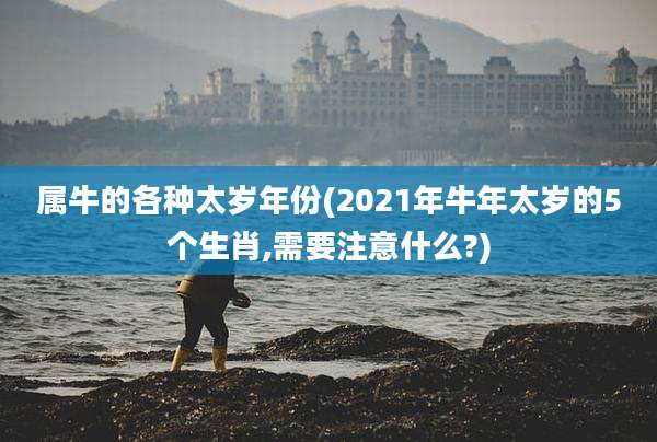 属牛的各种太岁年份(2021年牛年太岁的5个生肖,需要注意什么?)