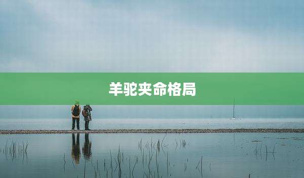 羊驼夹命格局