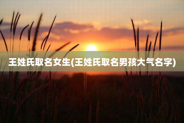 王姓氏取名女生(王姓氏取名男孩大气名字)