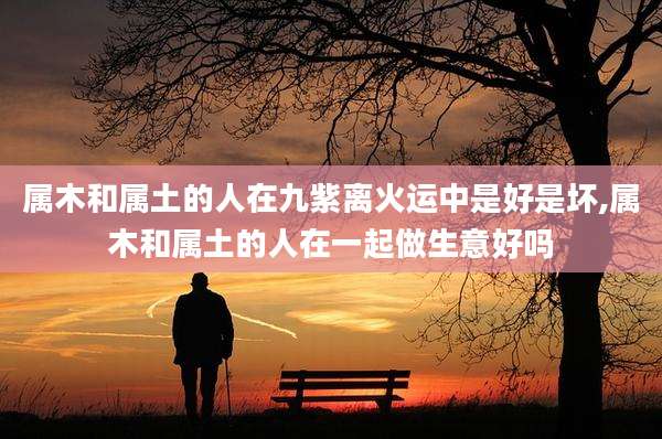 属木和属土的人在九紫离火运中是好是坏,属木和属土的人在一起做生意好吗
