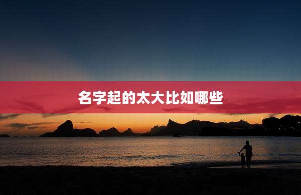 名字起的太大比如哪些