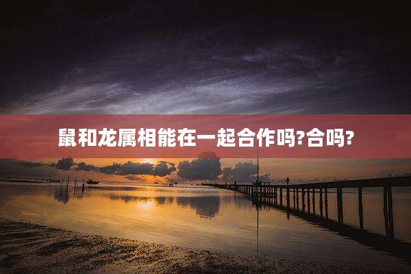 鼠和龙属相能在一起合作吗?合吗?
