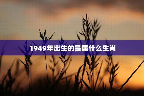1949年出生的是属什么生肖