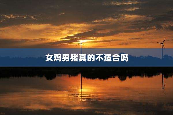 女鸡男猪真的不适合吗