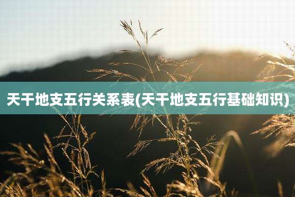 天干地支五行关系表(天干地支五行基础知识)