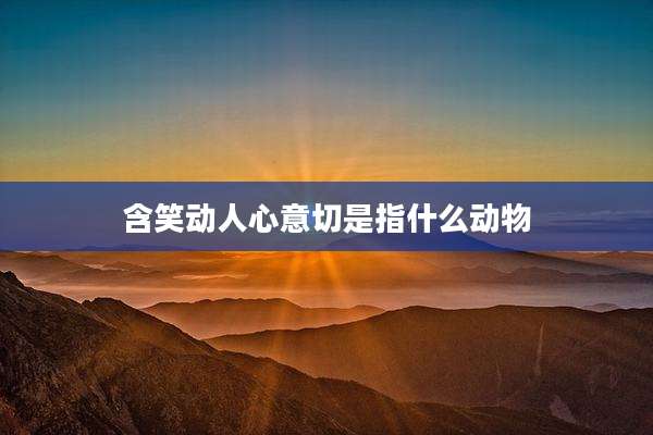 含笑动人心意切是指什么动物