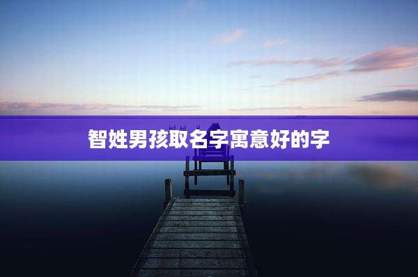 智姓男孩取名字寓意好的字