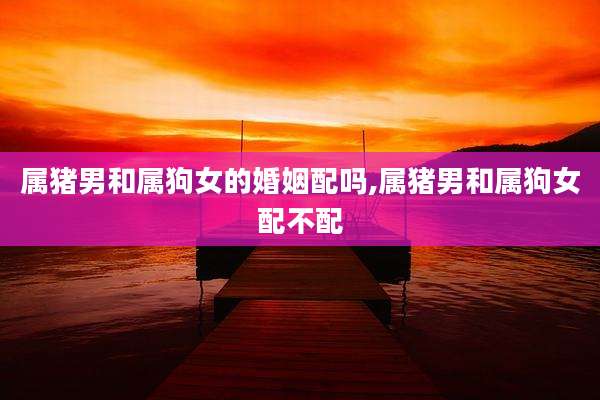 属猪男和属狗女的婚姻配吗,属猪男和属狗女配不配