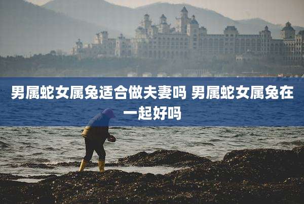 男属蛇女属兔适合做夫妻吗 男属蛇女属兔在一起好吗