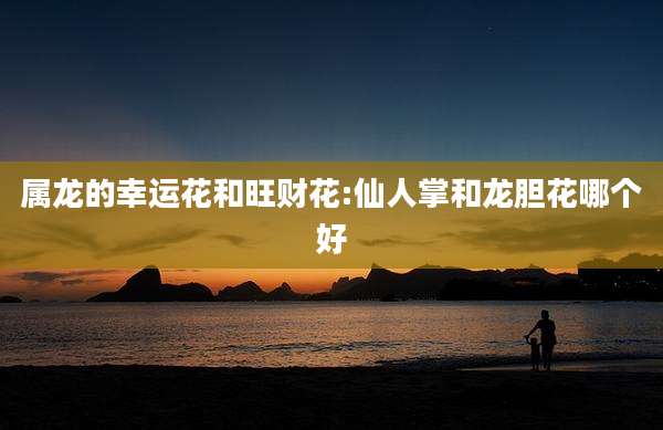 属龙的幸运花和旺财花:仙人掌和龙胆花哪个好