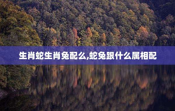 生肖蛇生肖兔配么,蛇兔跟什么属相配