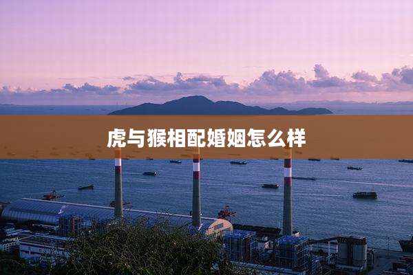 虎与猴相配婚姻怎么样
