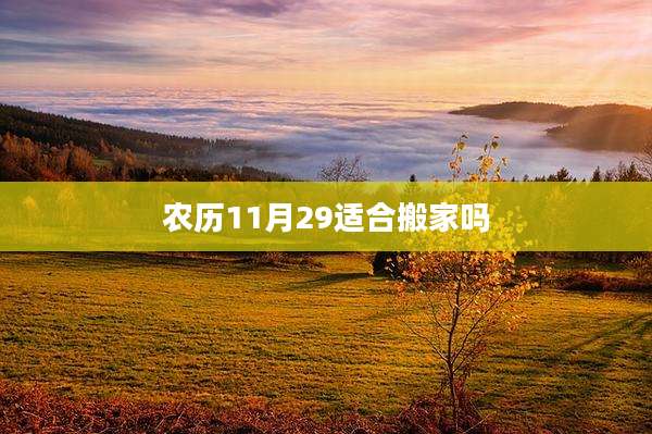 农历11月29适合搬家吗