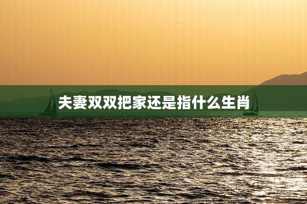 夫妻双双把家还是指什么生肖