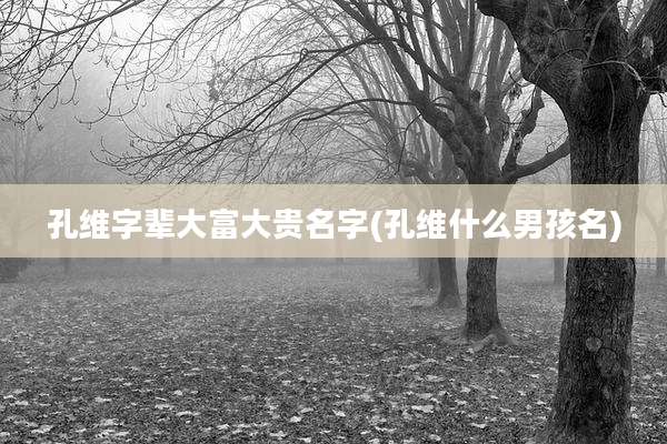 孔维字辈大富大贵名字(孔维什么男孩名)