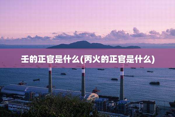 壬的正官是什么(丙火的正官是什么)