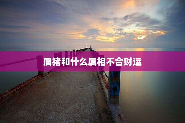 属猪和什么属相不合财运