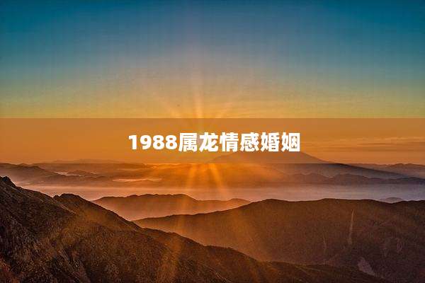 1988属龙情感婚姻