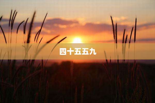 四十五五九