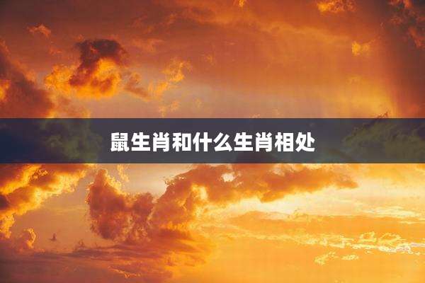 鼠生肖和什么生肖相处