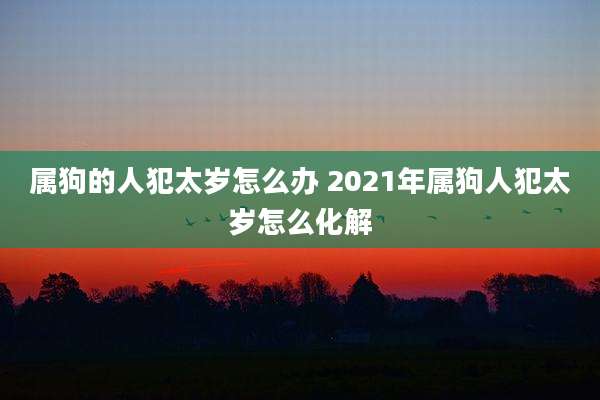 属狗的人犯太岁怎么办 2021年属狗人犯太岁怎么化解