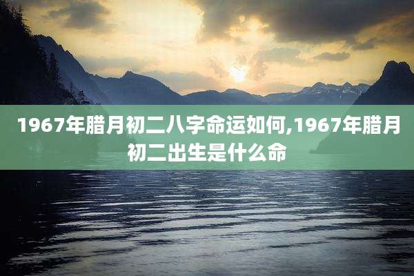 1967年腊月初二八字命运如何,1967年腊月初二出生是什么命