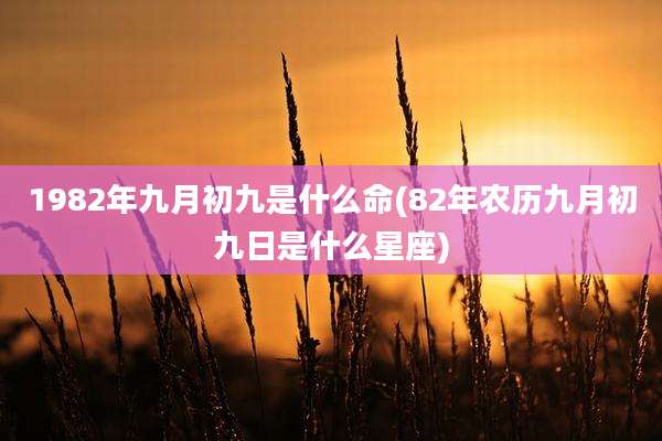 1982年九月初九是什么命(82年农历九月初九日是什么星座)