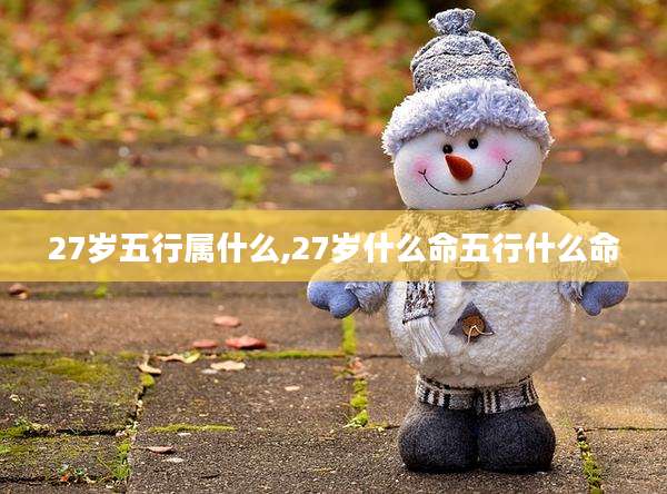 27岁五行属什么,27岁什么命五行什么命