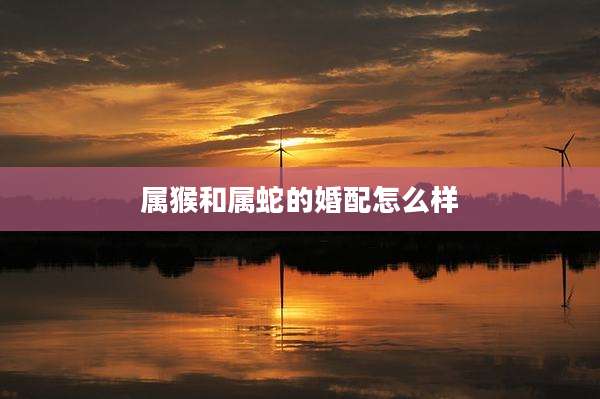 属猴和属蛇的婚配怎么样