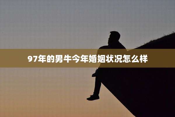 97年的男牛今年婚姻状况怎么样