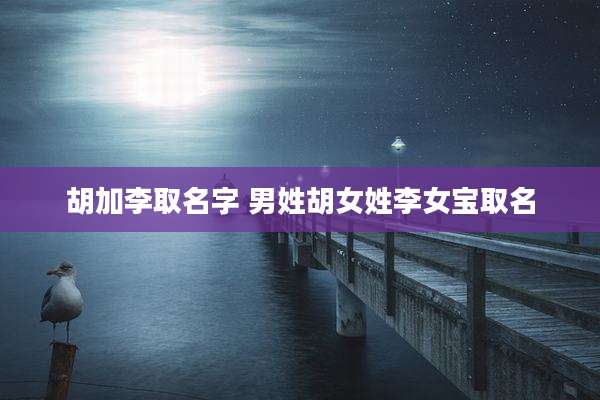 胡加李取名字 男姓胡女姓李女宝取名
