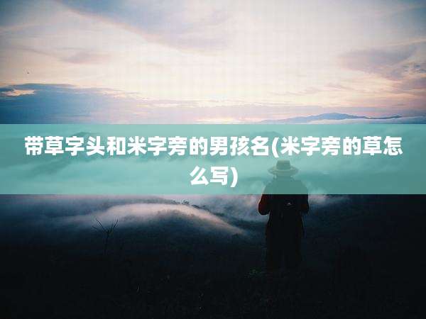 带草字头和米字旁的男孩名(米字旁的草怎么写)