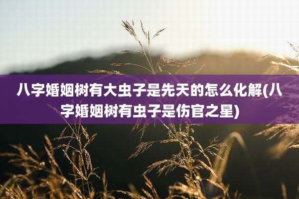 八字婚姻树有大虫子是先天的怎么化解(八字婚姻树有虫子是伤官之星)
