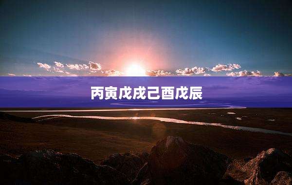 丙寅戊戌己酉戊辰