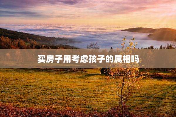 买房子用考虑孩子的属相吗