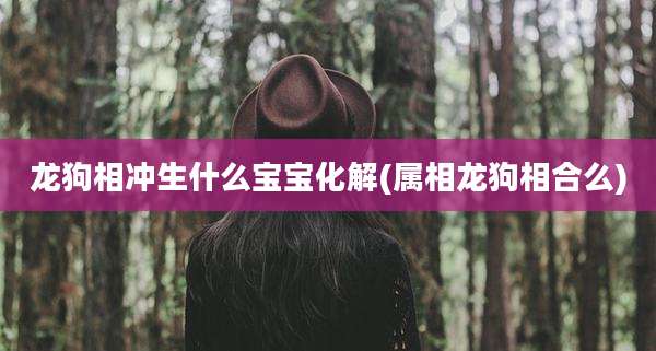 龙狗相冲生什么宝宝化解(属相龙狗相合么)