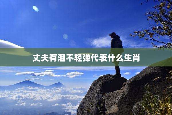 丈夫有泪不轻弹代表什么生肖