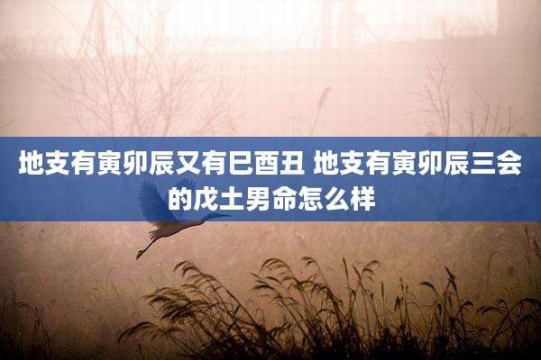 地支有寅卯辰又有巳酉丑 地支有寅卯辰三会的戊土男命怎么样