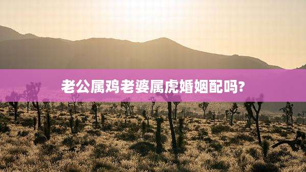 老公属鸡老婆属虎婚姻配吗?