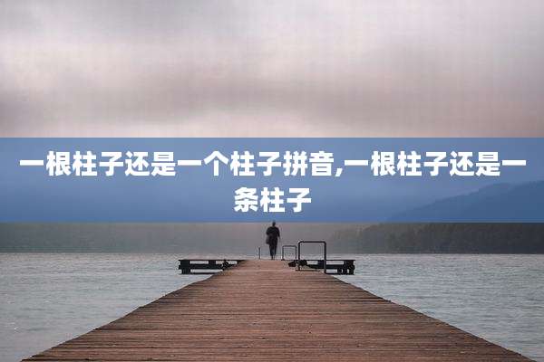 一根柱子还是一个柱子拼音,一根柱子还是一条柱子