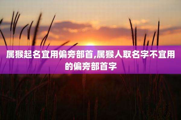 属猴起名宜用偏旁部首,属猴人取名字不宜用的偏旁部首字