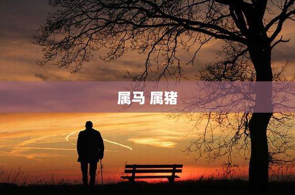 属马 属猪