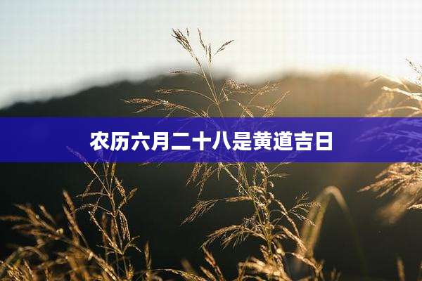 农历六月二十八是黄道吉日