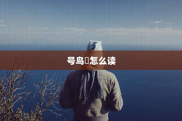 号鸟鸮怎么读