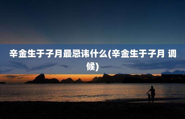 辛金生于子月最忌讳什么(辛金生于子月 调候)