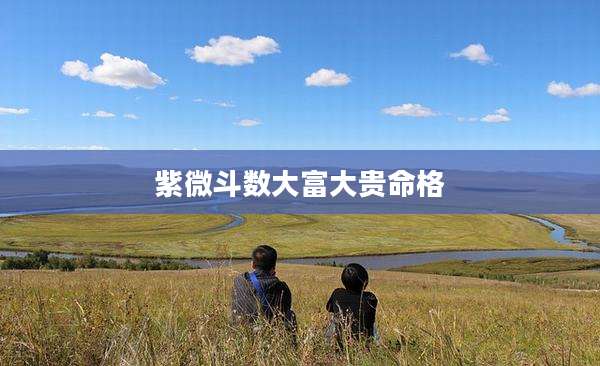 紫微斗数大富大贵命格