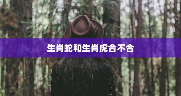 生肖蛇和生肖虎合不合