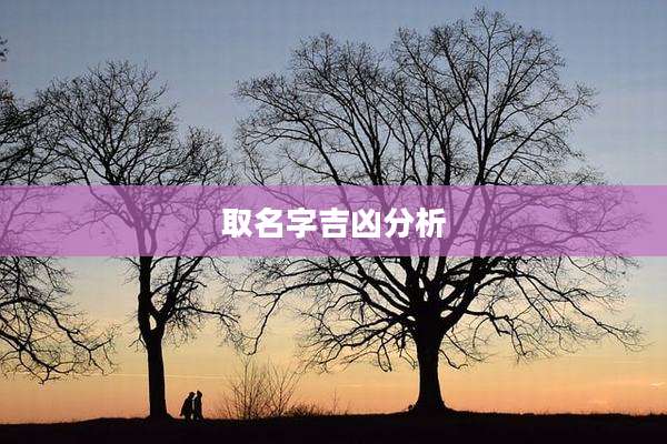 取名字吉凶分析