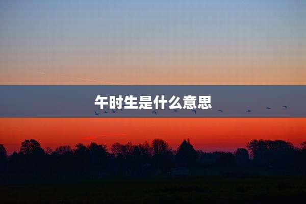 午时生是什么意思