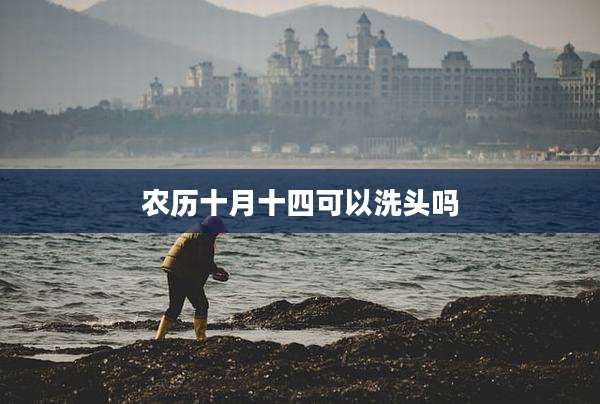 农历十月十四可以洗头吗